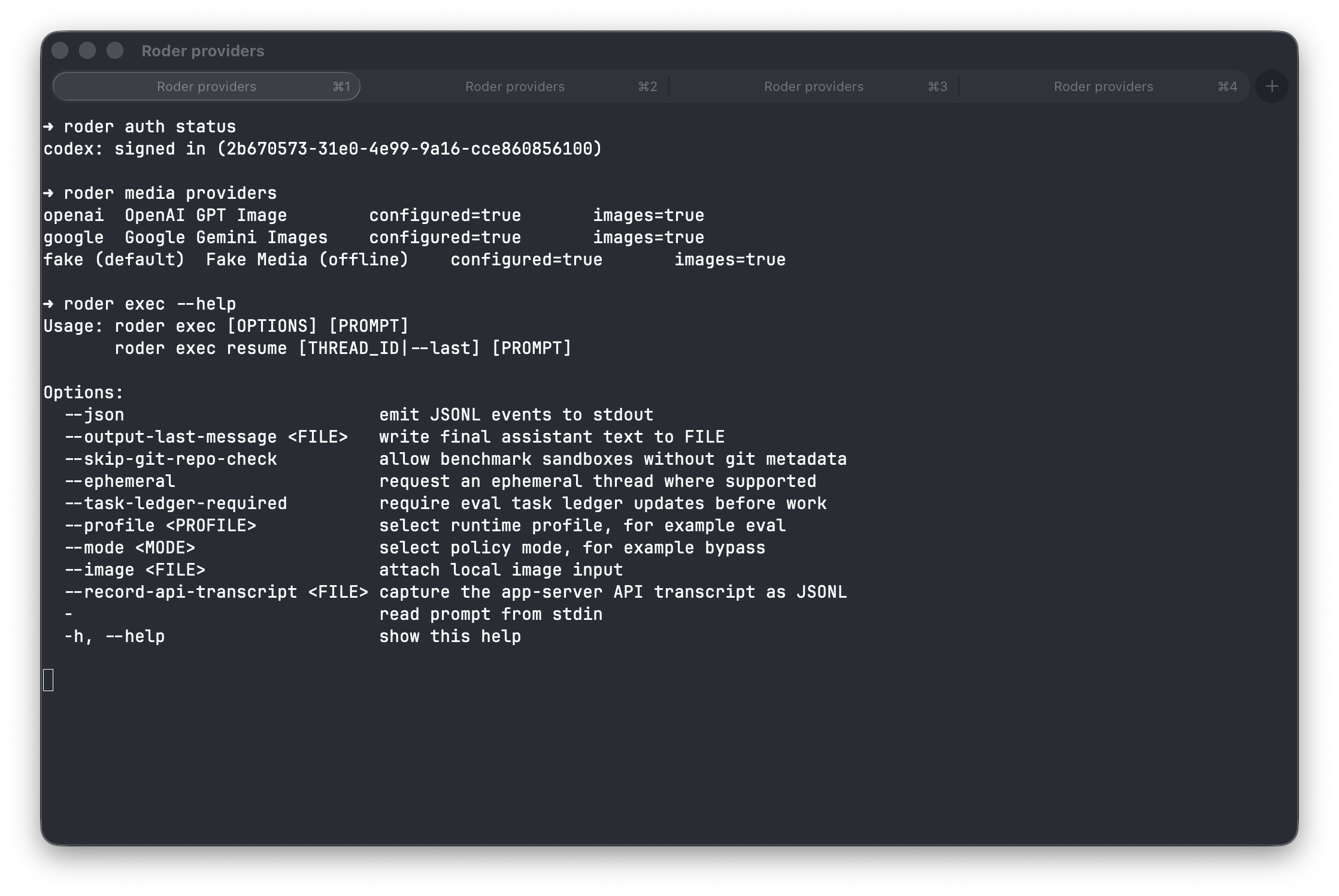Provider and exec surfaces screenshot